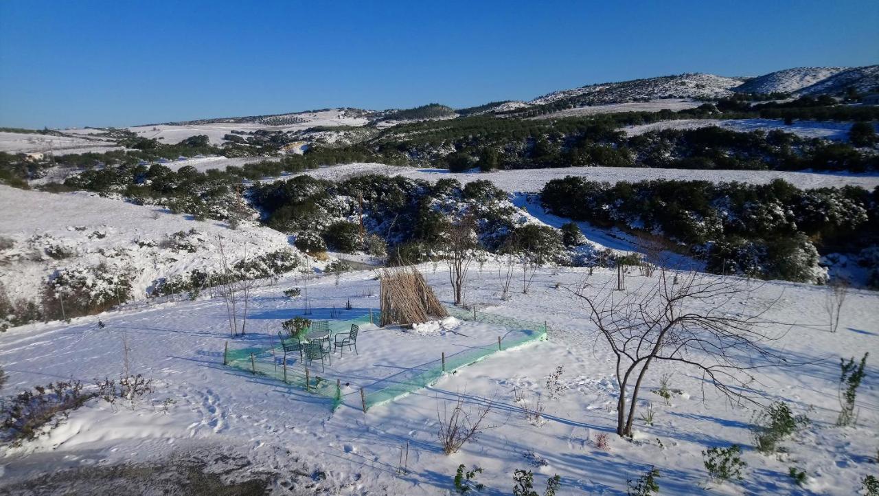 Daniil'S Luxury Villa And Spa Ájosz Andóniosz Kültér fotó