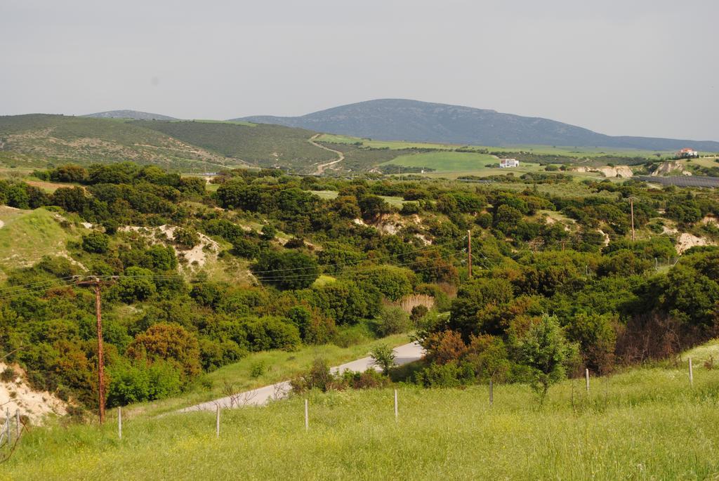 Daniil'S Luxury Villa And Spa Ájosz Andóniosz Kültér fotó